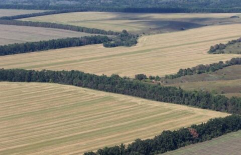В Молдове создается первый индустриальный парк Agrotek — центр цифровых инноваций в сельском хозяйстве