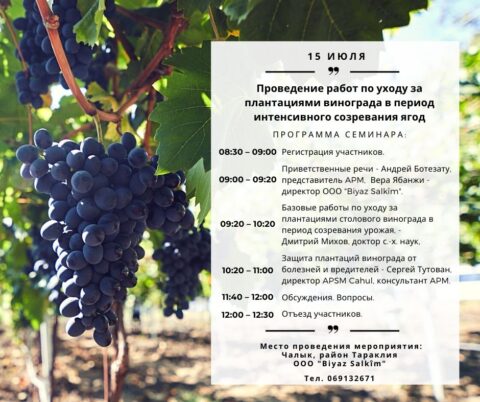 Внимание! Практический семинар на тему: «Проведение работ по уходу за плантациями винограда в период интенсивного созревания ягод»!