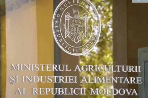 Минсельхоз Молдовы представил программу субсидий на 2025 год