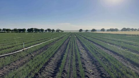 Правительство утвердило важные изменения в сфере мониторинга и охраны водных ресурсов.