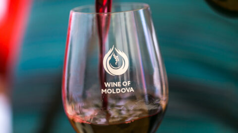 🍷 Национальный конкурс «Вино Молдовы»